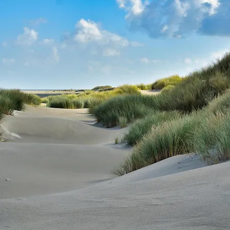 Nederlandse kust