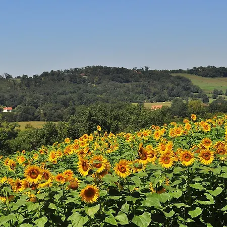Sud-ouest de la France