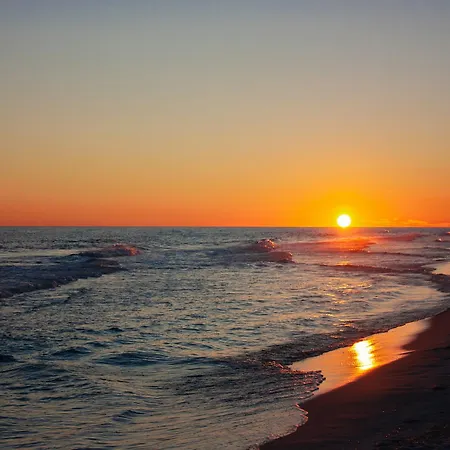 Florida Gulf Coast